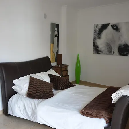 Metis Penthouse Apartment